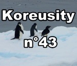 compilation koreusity Koreusity n°43