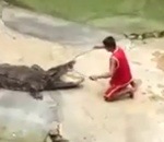 morsure Un alligator croque la tête de son dresseur
