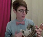 ukulele Un chaton veut jouer du ukulélé