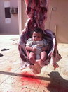 carcasse fauteuil Fauteuil en viande pour bébé