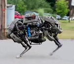 robot boston courir Robot WildCat