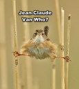 jcvd oiseau Jean-Claude qui ?