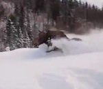 neige elan rencontre Des skieurs rencontrent un orignal