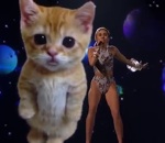 miley Miley Cyrus chante Wrecking Ball avec des chatons (AMA 2013)