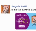 lama L'histoire de Serge le lama sur Facebook