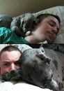 chien dormir Dormir avec son chien