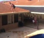flip saut Backflip depuis un toit dans une piscine 