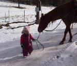 promenade Une petite fille promène son cheval