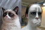 grumpy chat Maquillage Grumpy Cat