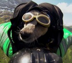 jump Un chien fait du wingsuit