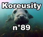 compilation insolite Koreusity n°89