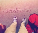 glass Seeds