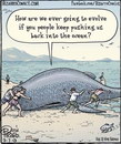 baleine evolution Comment voulez-vous qu'on évolue ?