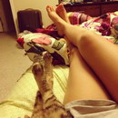 chat femme Belles jambes