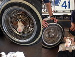 chiot chien voiture Chiot coincé dans une roue