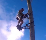 arbre outil Une façon innovante de grimper à un cocotier