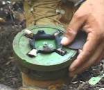 mine Un Cambodgien désarme une mine antipersonnel