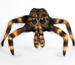 contorsionniste Une femme transformée en araignée (Bodypainting)