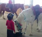 monter La technique d'un enfant pour monter sur un cheval