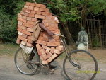 brique Transport de briques à vélo