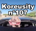 zapping insolite Koreusity n°107