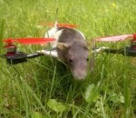 helicoptere Ratcopter