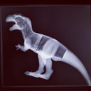 x Un jouet dinosaure au rayon X