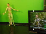 vert presentateur fond Présentateur météo squelette pour Halloween