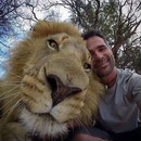 homme selfie Selfie avec un lion