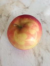 peau pomme Feuilles imprimées sur une pomme