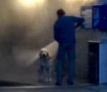 jet Laver son chien à une station de lavage automobile