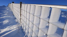 cloture Accumulation de glace sur une clôture