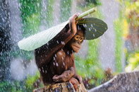 singe pluie Un Orang-outan se protège de la pluie