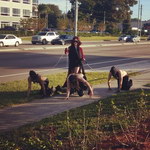 femme chien laisse Pendant ce temps-là en Floride