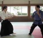 art combat Ju-jitsu vs Aïkido