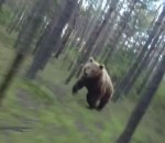 course poursuite Un cycliste poursuivi par un ours dans la forêt
