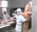 porc Danse dans une boucherie
