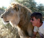 ami 11 ans d'amitié entre un homme et un lion