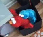 peluche Elmo et Cookie Monster prennent du bon temps