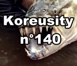 koreusity insolite 2015 Koreusity n°140