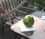 table verre Regis découpe une pastèque 