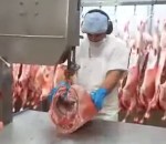 porc Un boucher rapide découpe des carcasses