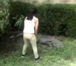 inconscient Une fille entre dans l'enclos d'un crocodile