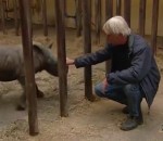 film world rhinoceros Jurassic World en 6 secondes