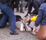 rottweiler Un enfant attaqué par un chien