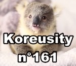 novembre web koreusity Koreusity n°161