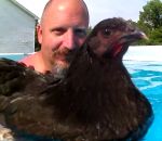 piscine Un homme découvre que les poules flottent