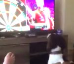 flechette Un chien devant une compétition de fléchettes à la télé