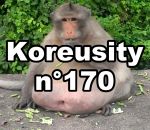zapping insolite Koreusity n°170