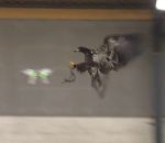 capturer Des aigles policiers pour capturer des drones